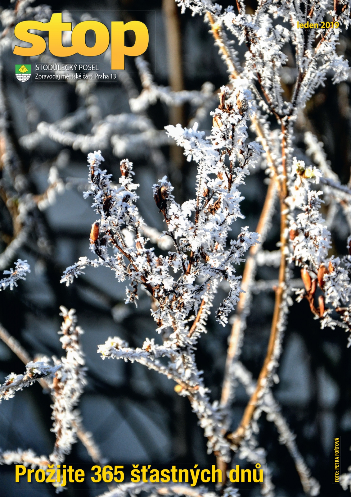 leden 2019 - obálka