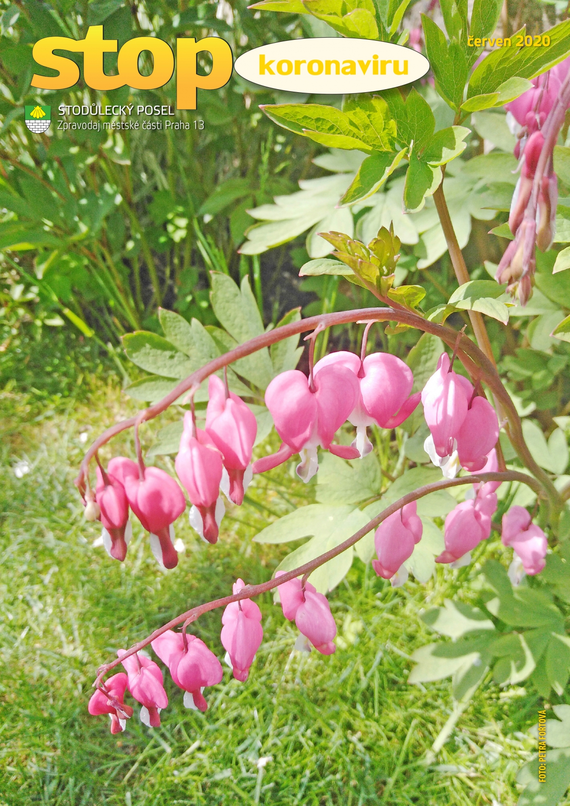 červen 2020 - obálka