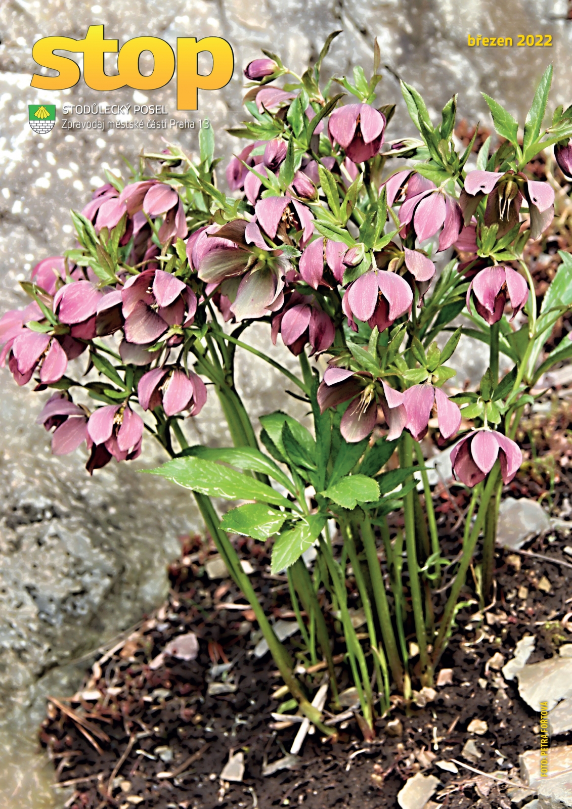 březen 2022 - obálka