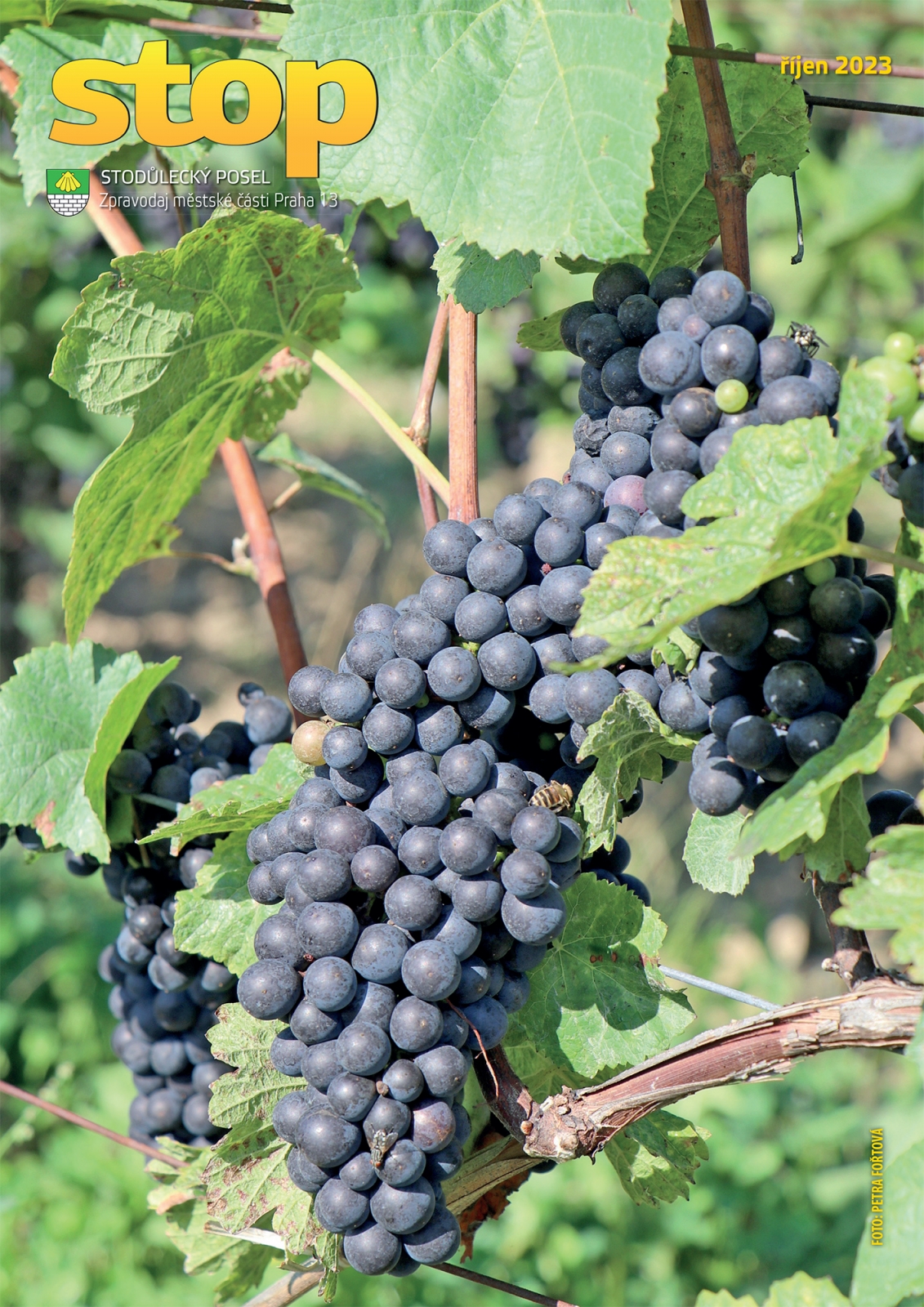 říjen 2023 - obálka