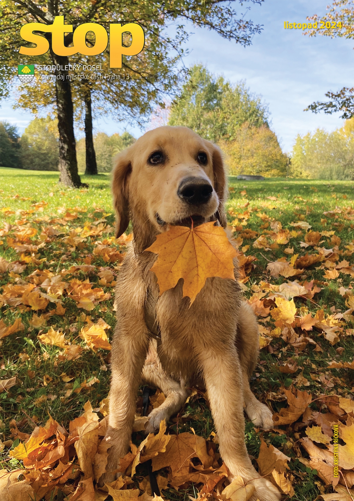 listopad 2024 - obálka