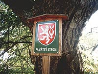 Každý památný strom je označen tabulkou s malým státním znakem.