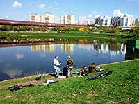 Nepomucký rybník